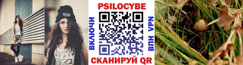 Купить  Закаменск  Галлюциногенные грибы Cubensis 